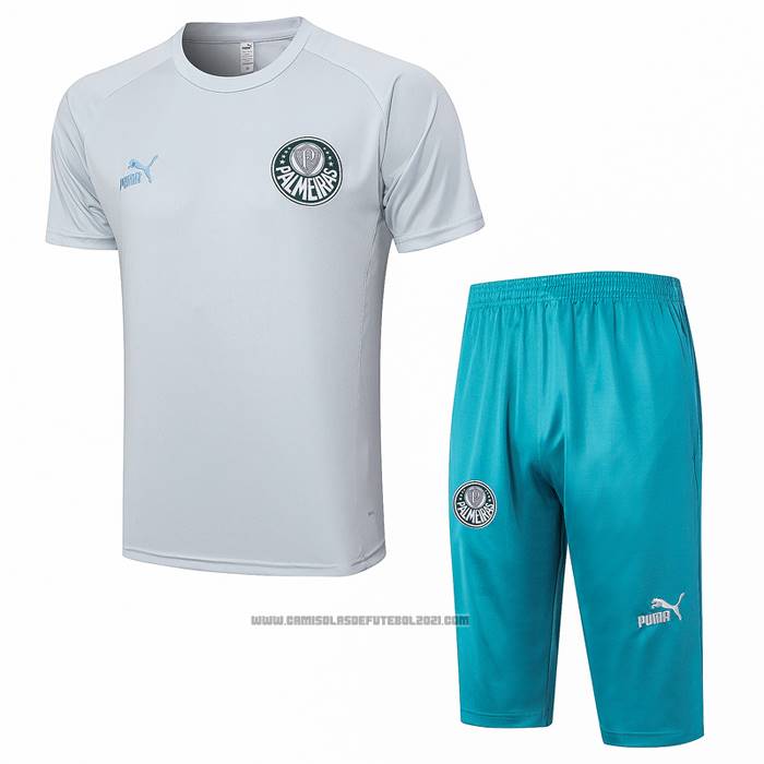 Fato de Treino Palmeiras Manga Curta 2023-2024 Cinza - Calcas Curta